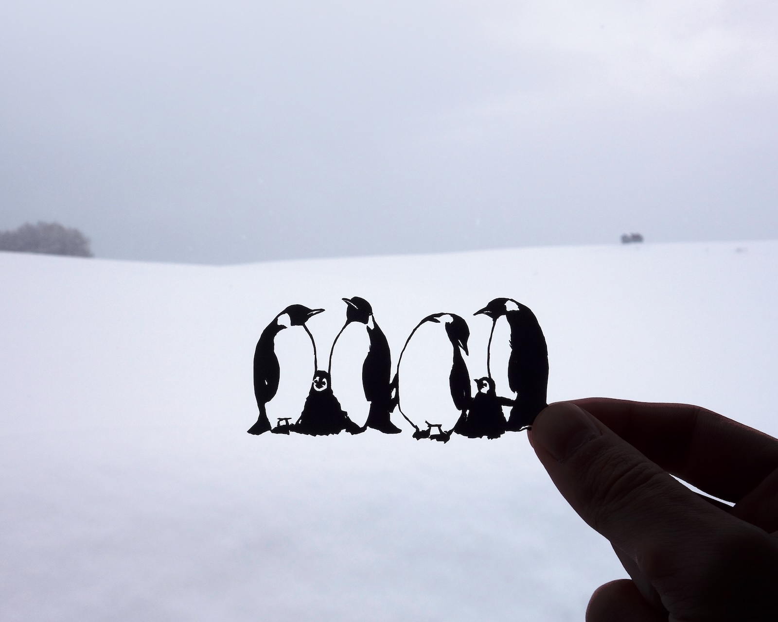 切り絵と音楽展 / Kohei Kawano