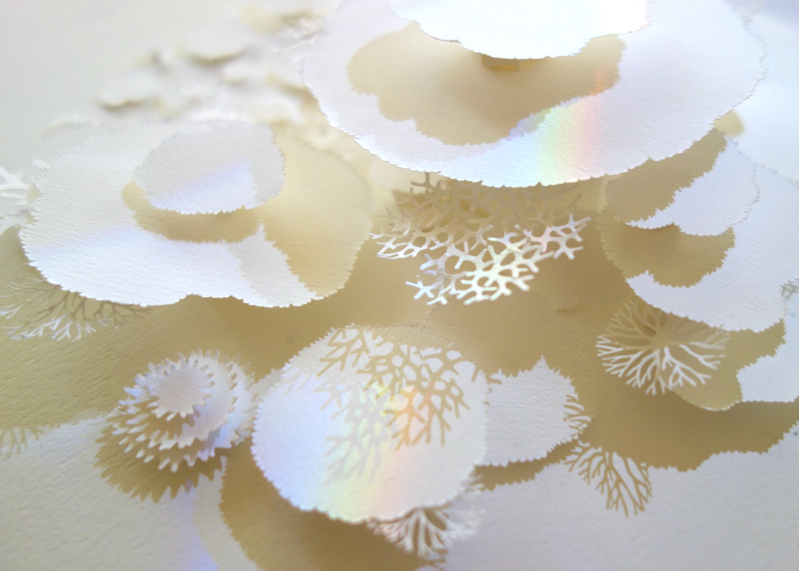 切り絵と音楽展 / Kohei Kawano