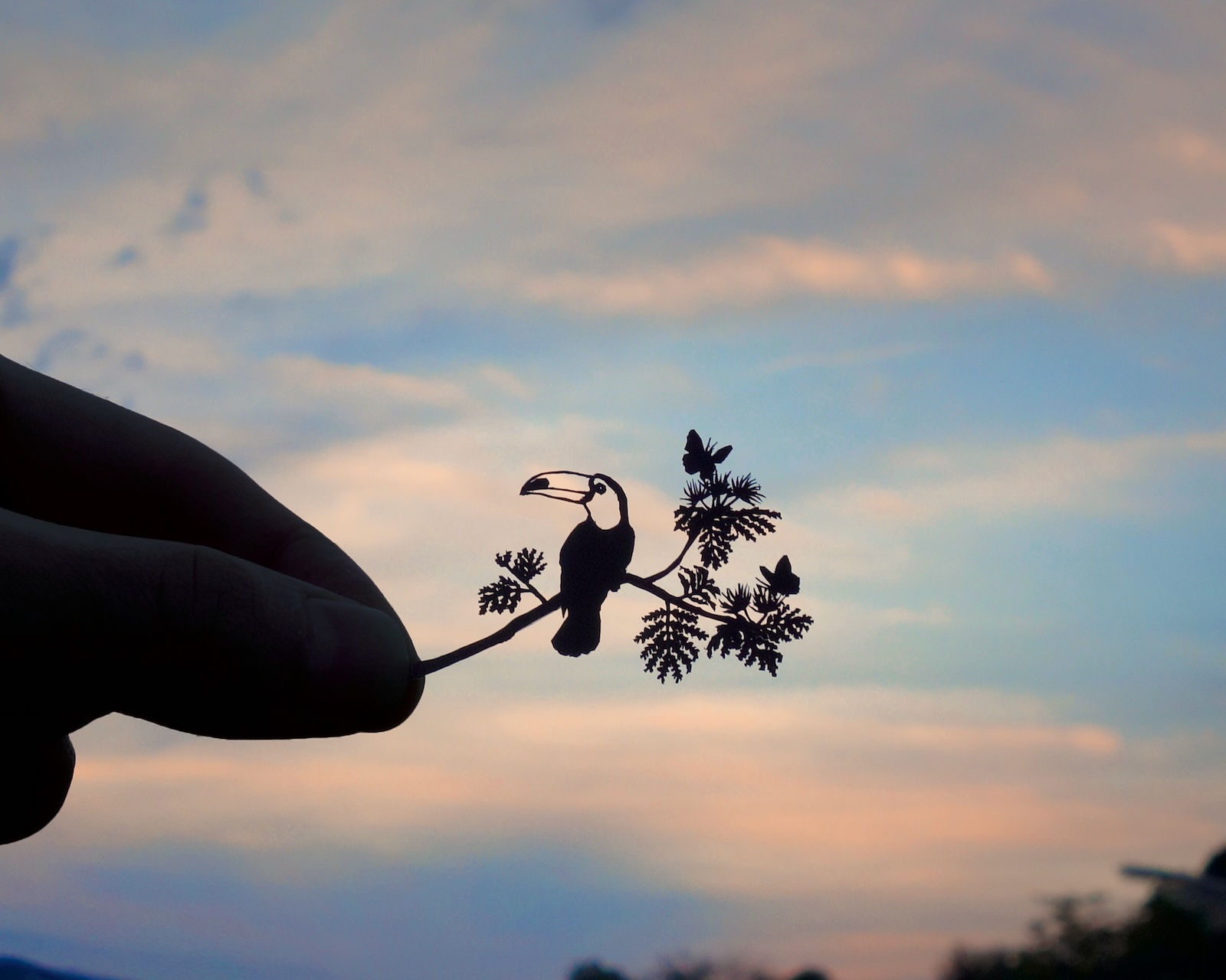 切り絵と音楽展 / Kohei Kawano