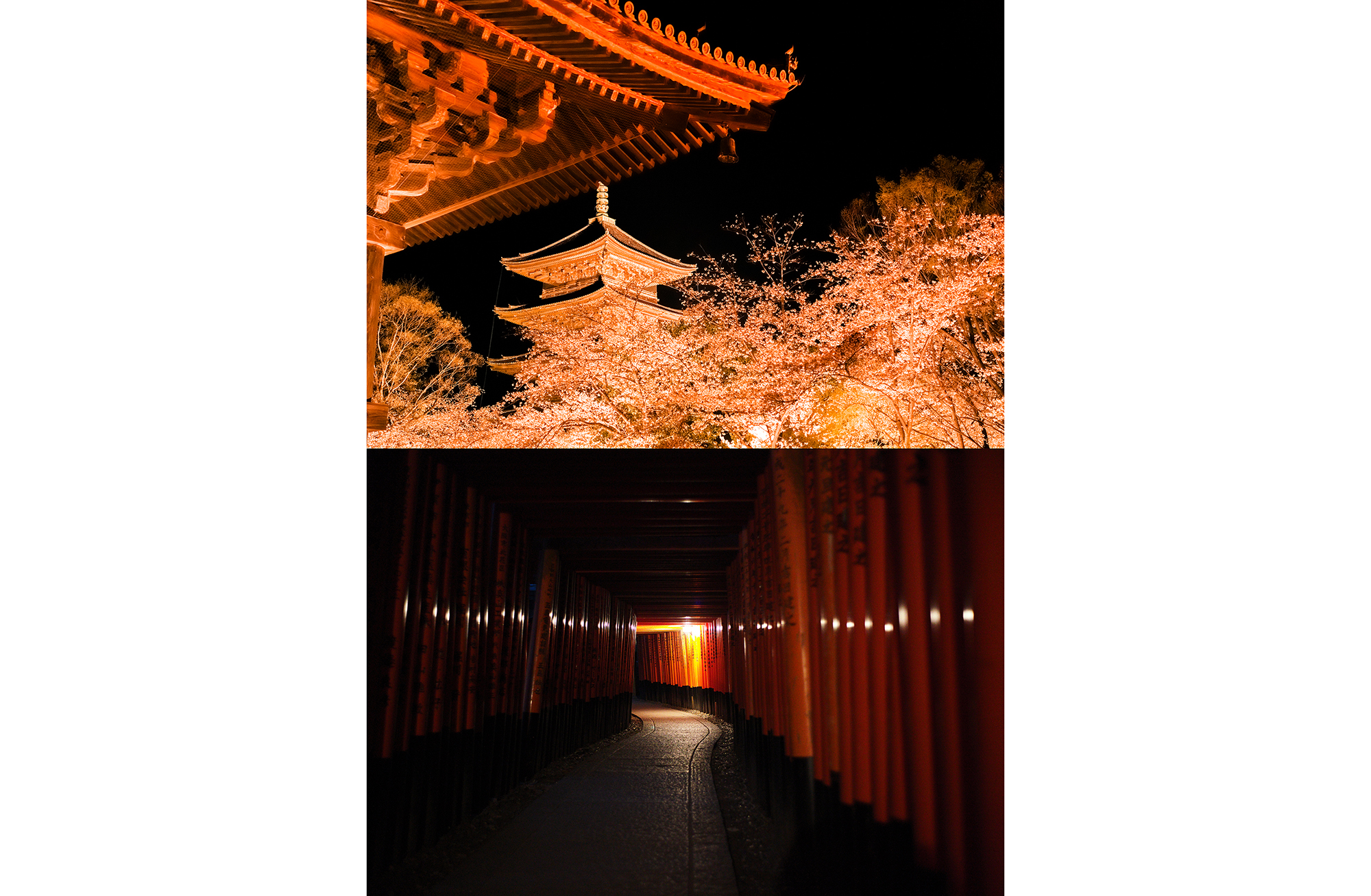 KYOTO 3×5 / Wataru Nishida / Drikin