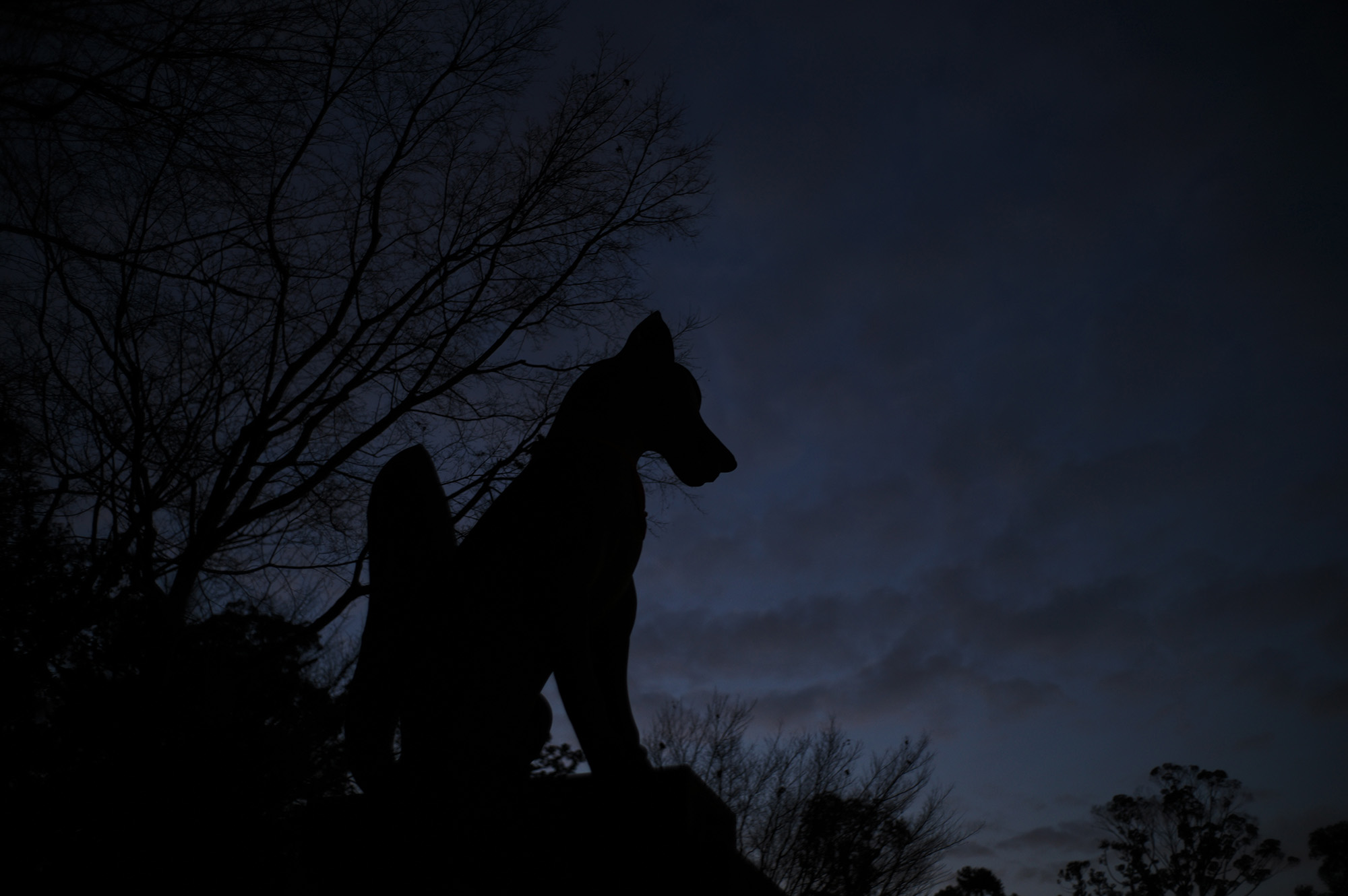 KYOTO 3×5 / Wataru Nishida / Drikin